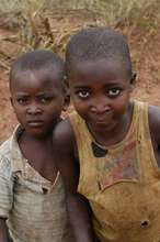 Young Boys