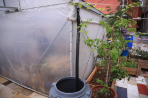 Rain Water Collection System