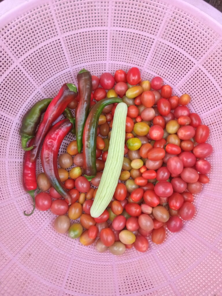Fresh Produce