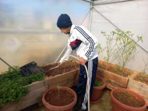 Hussein watering his crops in Ein e Hilweh Camp