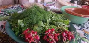From a participant's kitchen after harvest