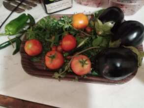 Participants send us their harvest by picture