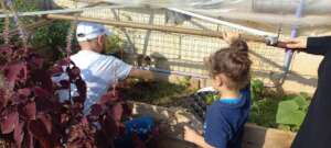 Hussein shows his daughter how to plant seedlings