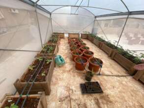 From a Grey Rooftop to a Green Oasis
