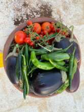 From Rooftop to Table