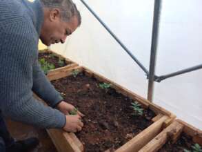 Said plants seedlings  - Ein el Hilweh camp