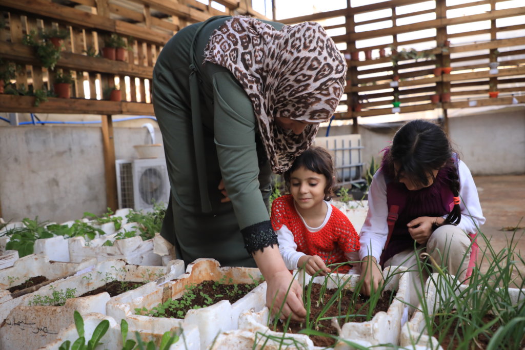 Organic rooftops farm in Palestinian Refugee Camps