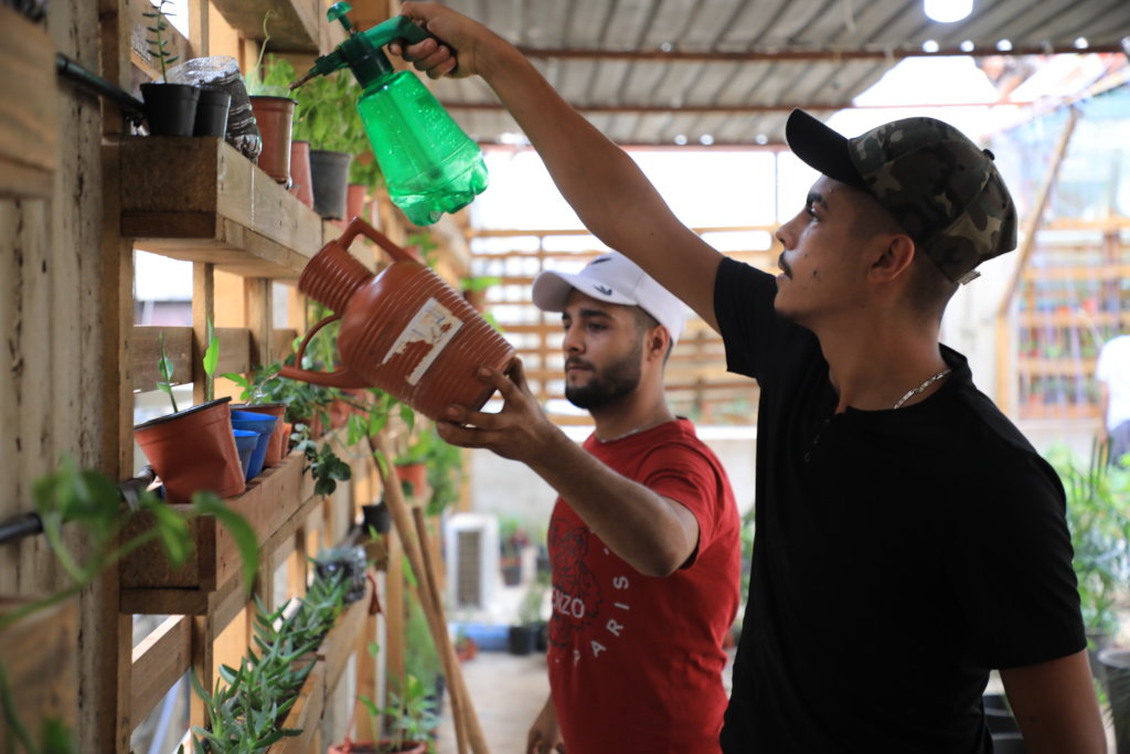 Organic rooftops farm in Palestinian Refugee Camps