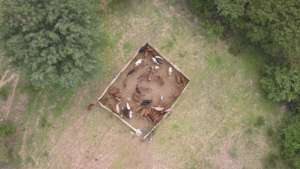 Aerial View of a Boma