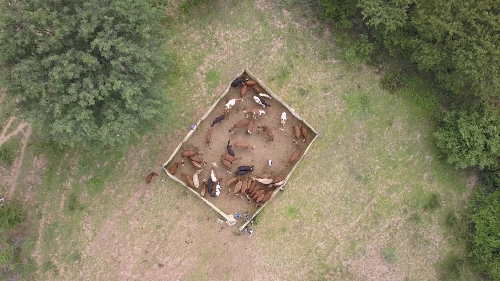 Improving Human-Wildlife Coexistence in Mola