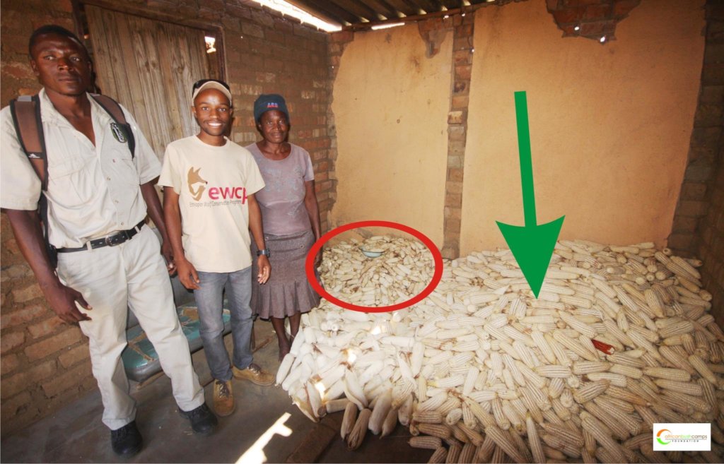 Improving Human-Wildlife Coexistence in Mola