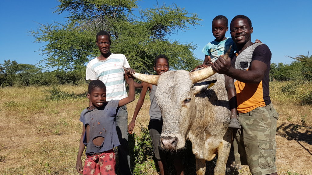 Improving Human-Wildlife Coexistence in Mola