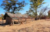 Basic Education for 72 children, Bendele village