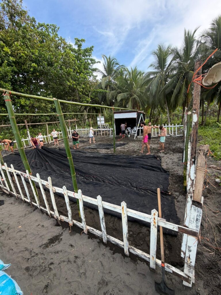 Improve conditions for our sea turtle heroes