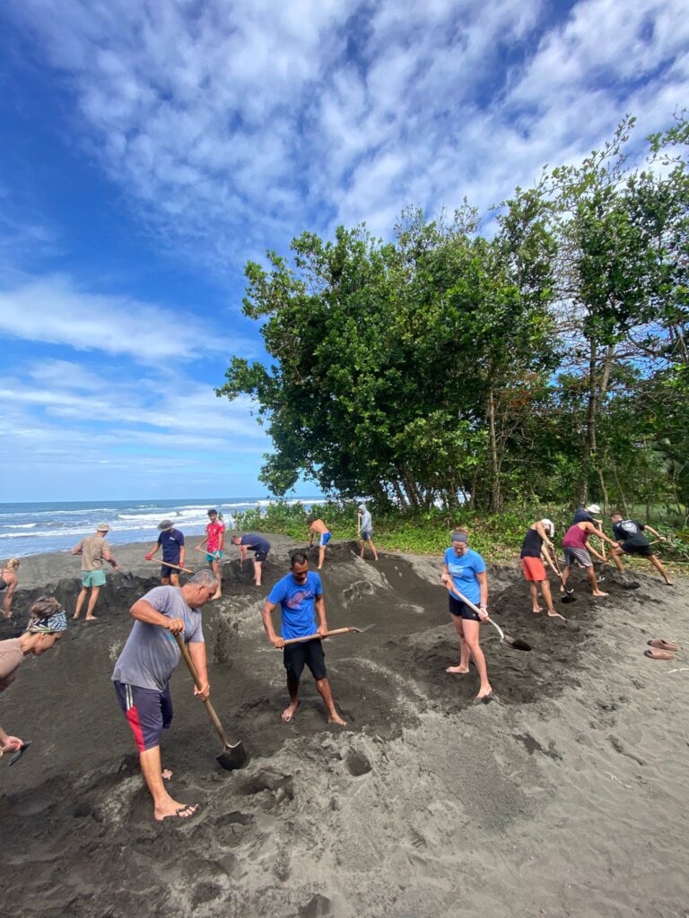 Improve conditions for our sea turtle heroes