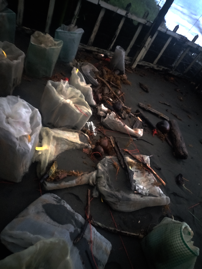 Damage to the hatchery