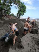 hatchery construction