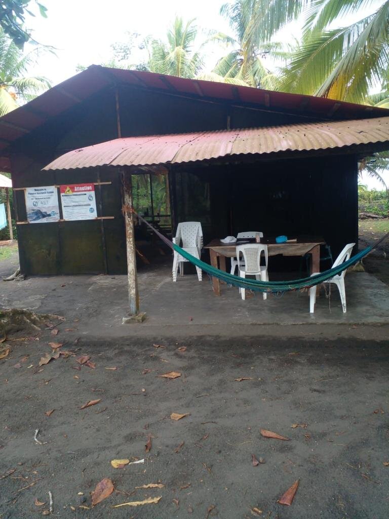 the kitchen area