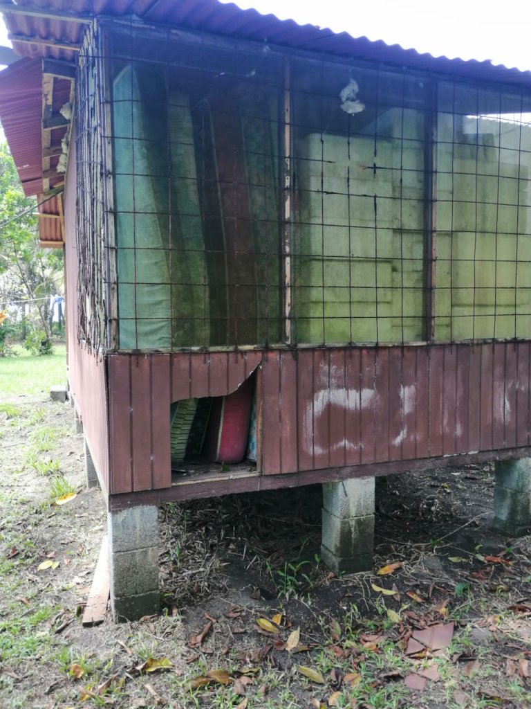 Improve conditions for our sea turtle heroes