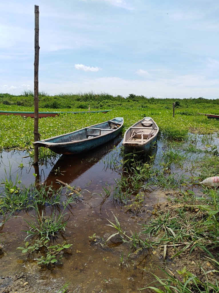 Land rights forever for AfroCaribbean Colombians