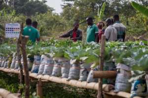 SMART Agriculture, a GEP project