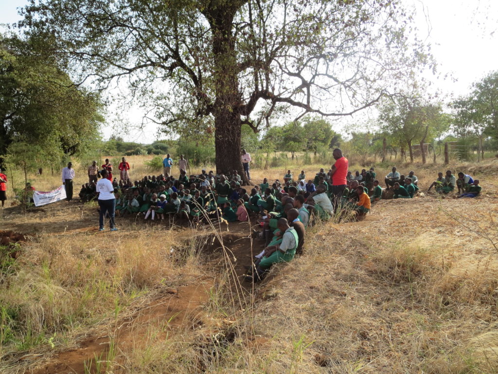 Saving Girls From Female genital Mutilation/Cut.