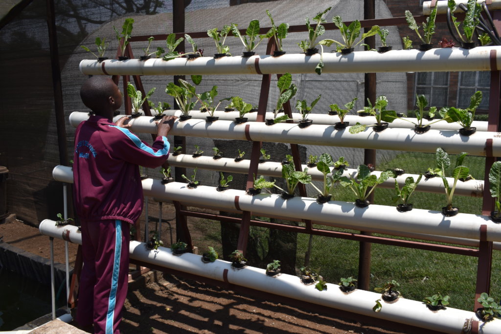 Help Us Provide Access to Clean Water in Zimbabwe