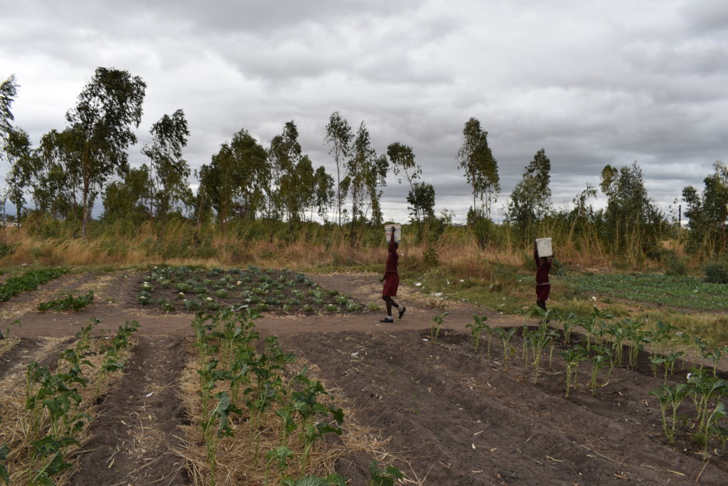Help Us Provide Access to Clean Water in Zimbabwe