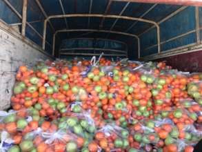Fresh fruits & vegetables - Bardarash