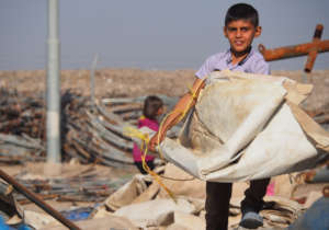 Gathering discarded material to build shelters 2