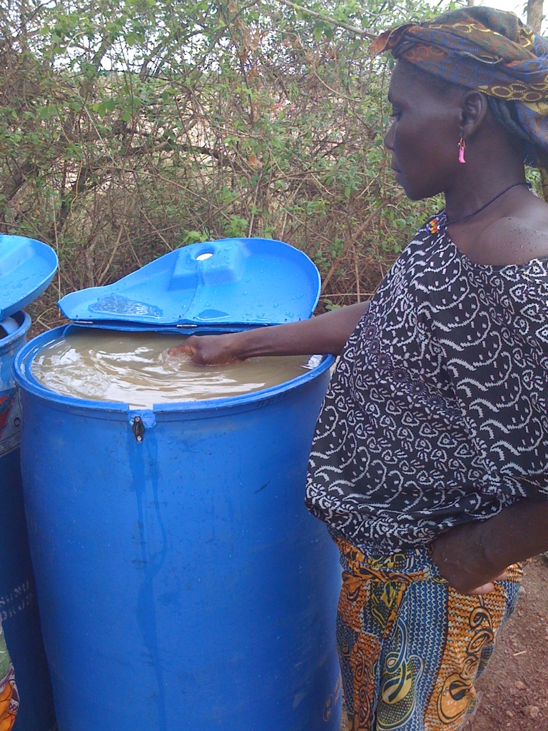 Amina treating dugout water with Alum in Gbong