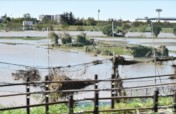 2019 Emergency Response to Typhoon Faxai & Hagibis