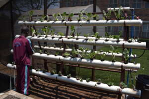 Support small businesses in Africa.