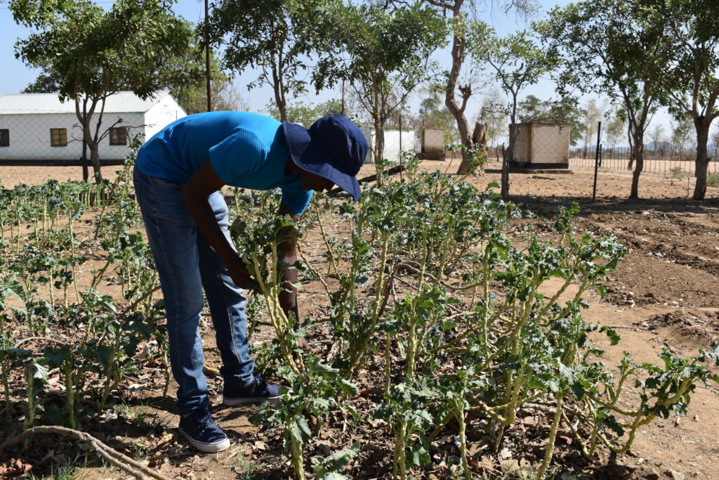 Fund a Small Business Grant in Southern Africa