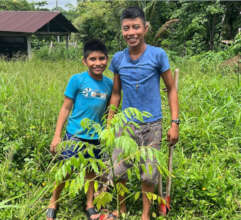 School orchard planting in Guatemala (July 2024)