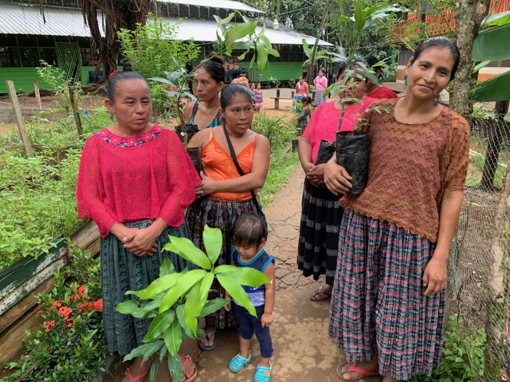 Planting fruit trees for Guatemalan families
