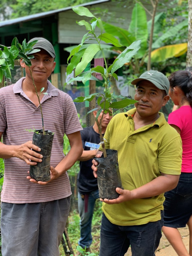 Planting fruit trees for Guatemalan families