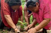 Planting fruit trees for Guatemalan families