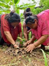 Planting fruit trees for Guatemalan families