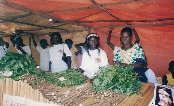 Provide goats and hens to 100 widows and orphans