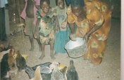 Provide goats and hens to 100 widows and orphans