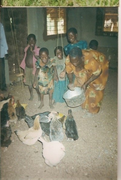 Provide goats and hens to 100 widows and orphans