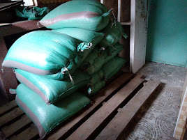 Maize bought in bulk for Feeding program