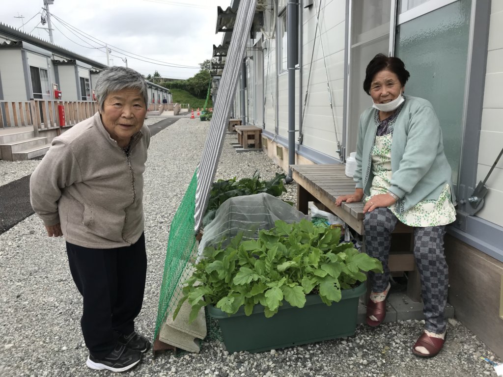 Elderly survivors enjoying growing vegetables!