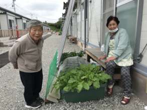 Elderly survivors enjoying growing vegetables!