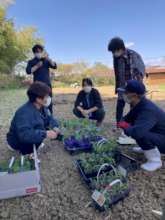 Project team checking the seedlings.