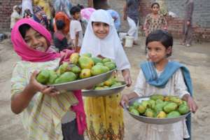 Girls serving mango to guests