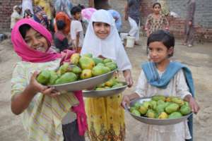 Girls serving mango to guests