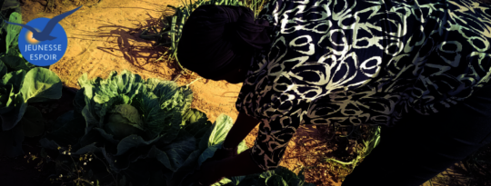 Support green incubator for 250 youth in Senegal