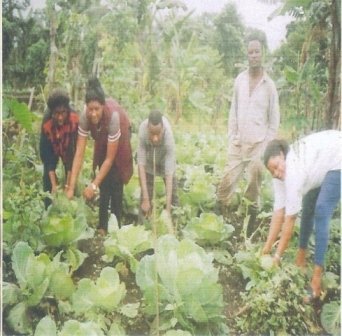 Providing Microloans to 5000 Poor Farmers